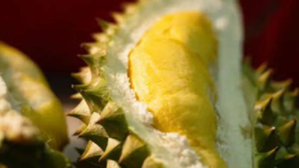 Laris Manis! Resep Pancake Durian Anti Gagal yang Bikin Daganganmu Ludes Terjual