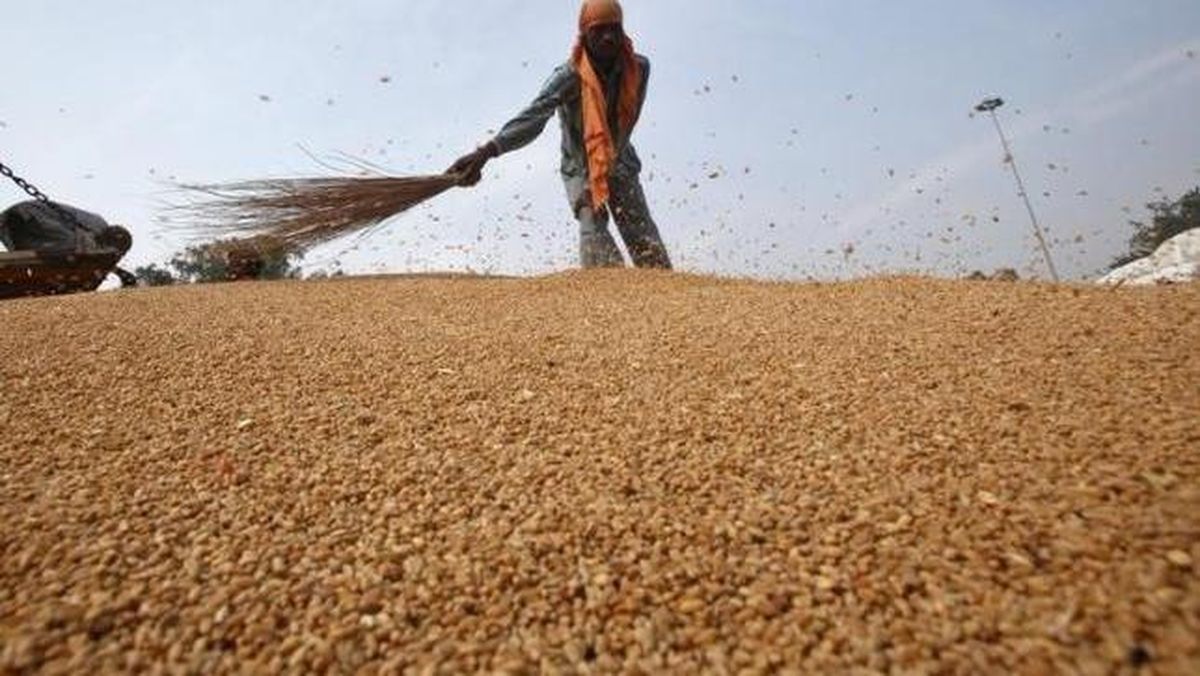 Bisnis Bakeri Tumbuh Pesat, Impor Gandum Indonesia Ikut Terdorong